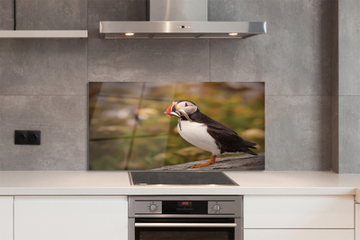 Panel Kuchenny Szklany Portret Barwnej Papugi