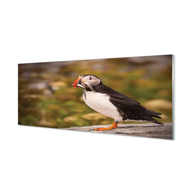 Panel Kuchenny Szklany Portret Barwnej Papugi