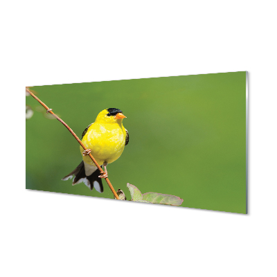 Panel Kuchenny Szklany Słoneczna Żółta Papuga