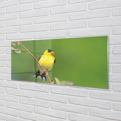 Panel Szklany Żółta papuga