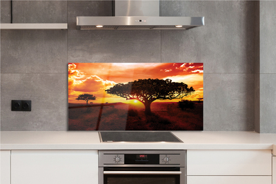 Panel szklany do Kuchni Drzewa pod Wieczornym Niebem