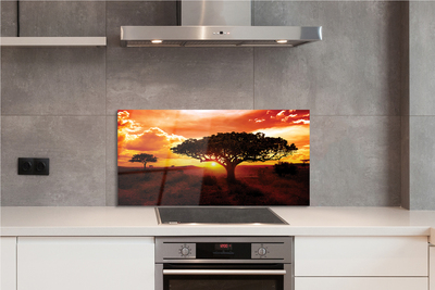 Panel szklany do Kuchni Drzewa pod Wieczornym Niebem