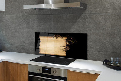 Panel szklany do Kuchni Szkic Mrocznej Postaci na Kartce