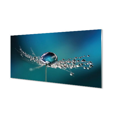 Panel nad Blat Kuchenny Dmuchawiec w Makrofotografii