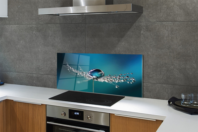 Panel nad Blat Kuchenny Dmuchawiec w Makrofotografii