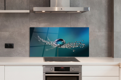 Panel nad Blat Kuchenny Dmuchawiec w Makrofotografii