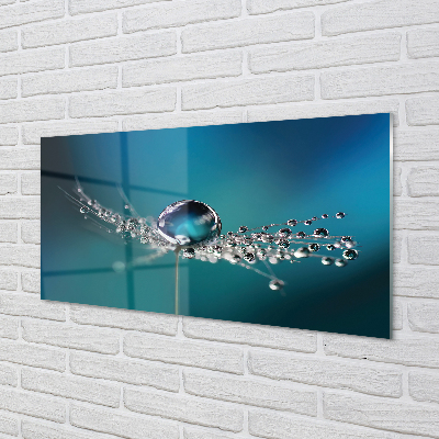 Panel nad Blat Kuchenny Dmuchawiec w Makrofotografii