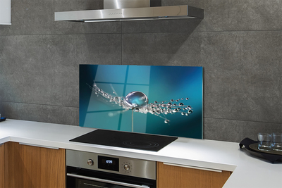 Panel nad Blat Kuchenny Dmuchawiec w Makrofotografii