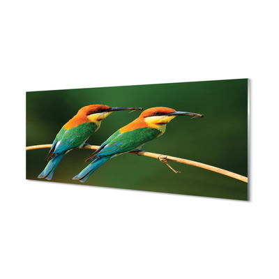Panel Szklany Kolorowe papugi na gałęzi
