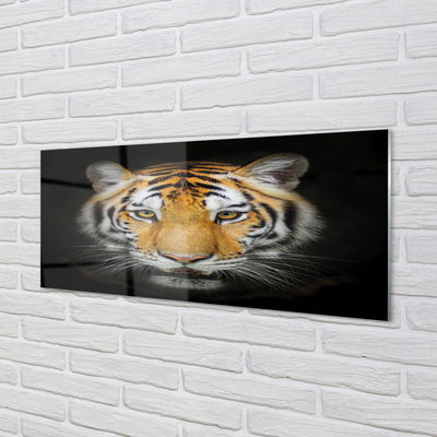 Panel Szklany Tygrys