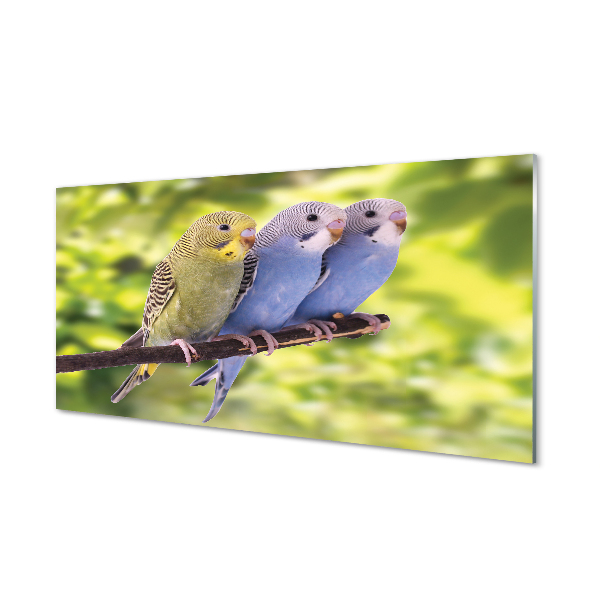 Panel Szklany Tropikalna Para na Drzewie