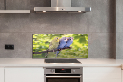 Panel Szklany Tropikalna Para na Drzewie