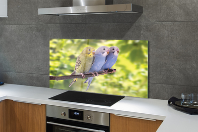 Panel Szklany Tropikalna Para na Drzewie