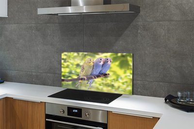 Panel Szklany Tropikalna Para na Drzewie