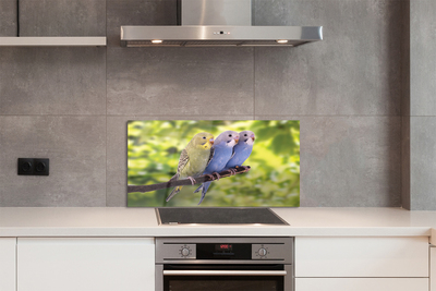 Panel Szklany Tropikalna Para na Drzewie