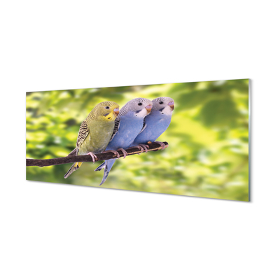 Panel Szklany Tropikalna Para na Drzewie