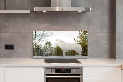 Panel nad Blat Kuchenny Wilk w Śnieżnej Puszczy