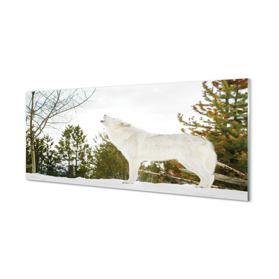 Panel nad Blat Kuchenny Wilk w Śnieżnej Puszczy