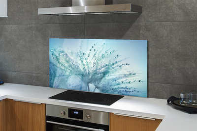 Panel nad Blat Kuchenny Ulotne Krople na Dmuchawcu