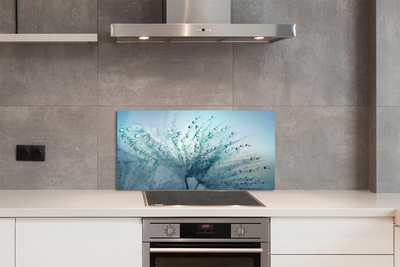 Panel nad Blat Kuchenny Ulotne Krople na Dmuchawcu