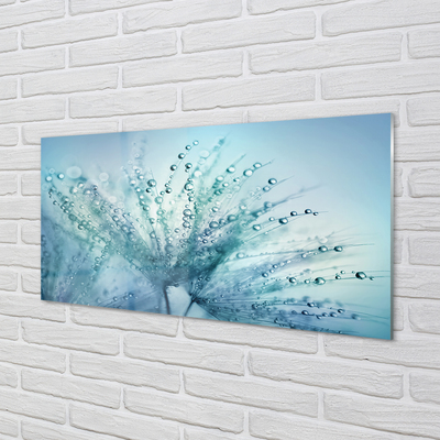 Panel nad Blat Kuchenny Ulotne Krople na Dmuchawcu