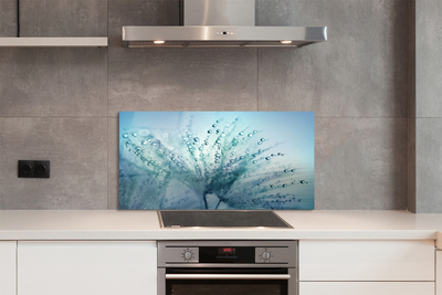 Panel nad Blat Kuchenny Ulotne Krople na Dmuchawcu