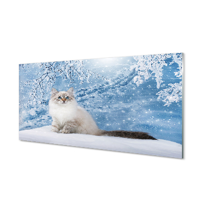 Panel Szklany Kot zimą