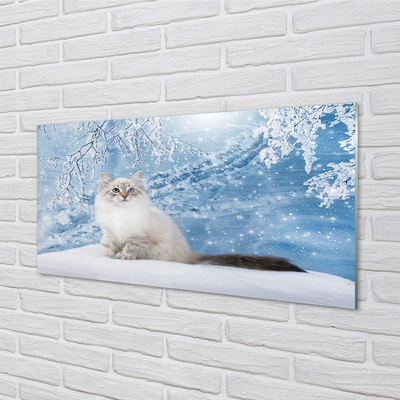 Panel Szklany Kot zimą
