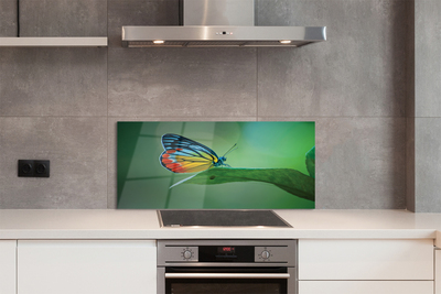 Panel nad Blat Kuchenny Motyl Odpoczywający na Liściu