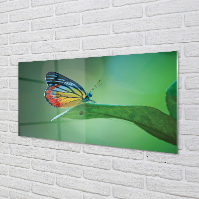 Panel Szklany Kolorowy motyl liść
