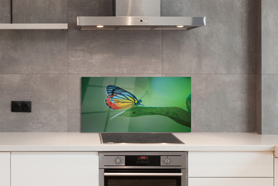 Panel nad Blat Kuchenny Motyl Odpoczywający na Liściu