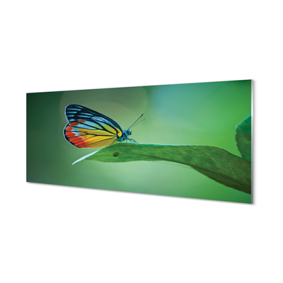 Panel Szklany Kolorowy motyl liść