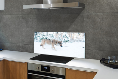 Panel Szklany Zimowy Portret Wilka