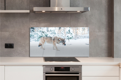 Panel Szklany Zimowy Portret Wilka