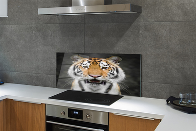 Panel szklany do Kuchni Tygrys Bengalski w Naturze