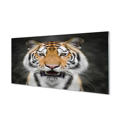 Panel Szklany Tygrys