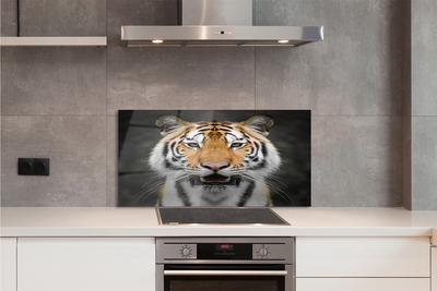 Panel szklany do Kuchni Tygrys Bengalski w Naturze