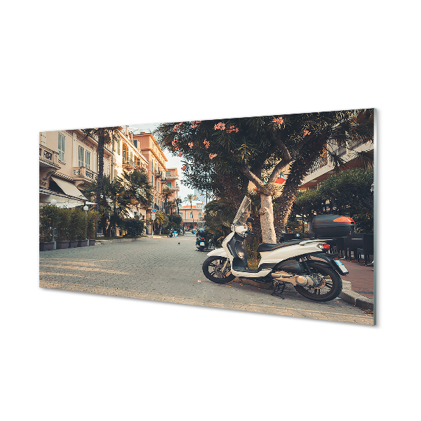 Szklany Panel Motocykle palmy miasto lato