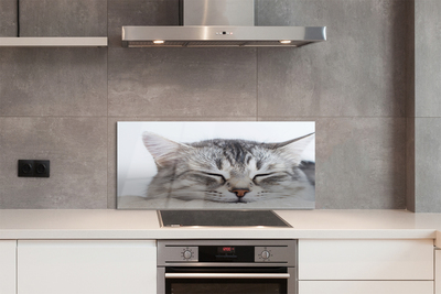 Szkło do Kuchni na Ścianę Słodki Sen Śpiącego Kota