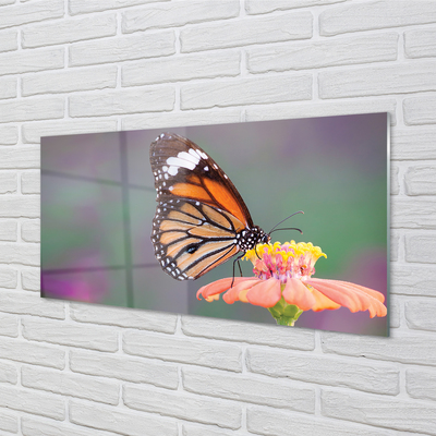 Panel Szklany Kolorowy motyl kwiat