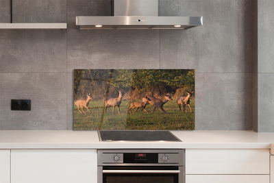 Panel Szklany Jelenie na Polu o Wschodzie Słońca