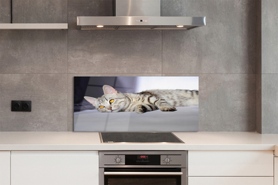 Szkło do Kuchni na Ścianę Leniwe Popołudnie na Kanapie