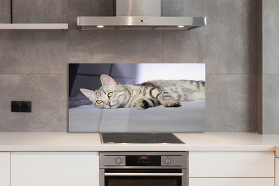 Szkło do Kuchni na Ścianę Leniwe Popołudnie na Kanapie