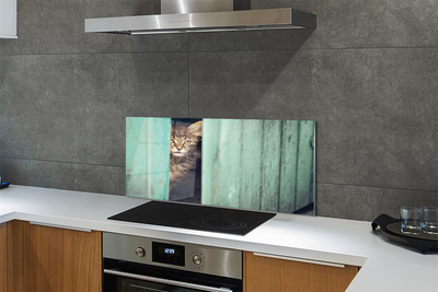 Panel Szklany Ciekawskie Spojrzenie Kota