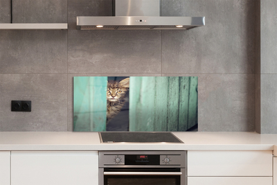 Panel Szklany Ciekawskie Spojrzenie Kota