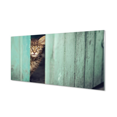 Panel Szklany Zaglądający kot