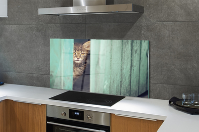 Panel Szklany Ciekawskie Spojrzenie Kota