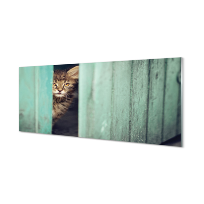 Panel Szklany Zaglądający kot