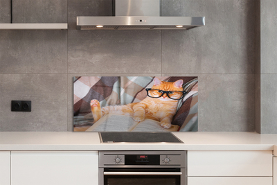 Panel Szklany Inteligentny Kot Bibliofil