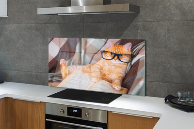 Panel Szklany Inteligentny Kot Bibliofil